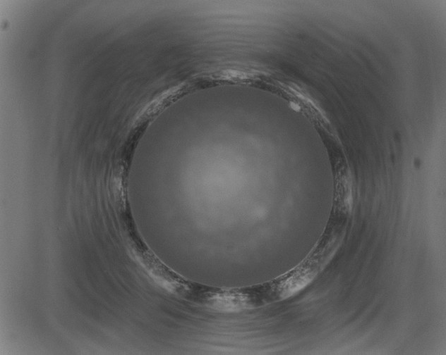 X0000083570415200702091058