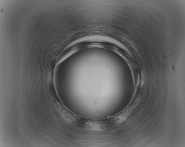 X0000083570417200702091058