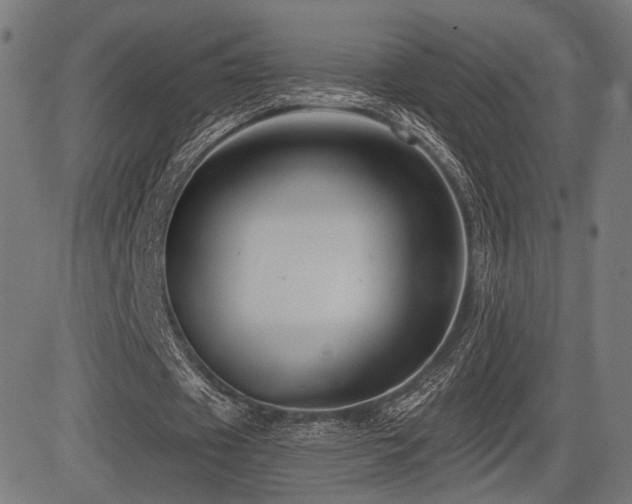 X0000083570433200702091057