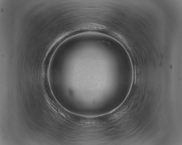 X0000083570435200702091057