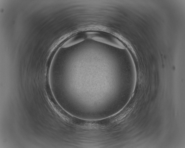 X0000083570437200702091057