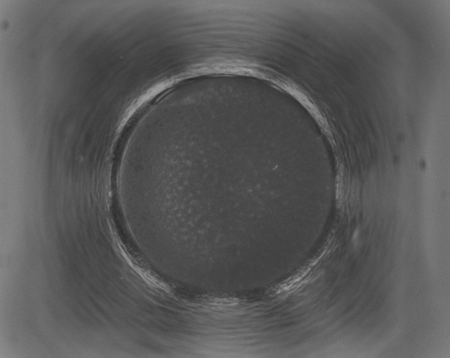 X0000083570438200702091057