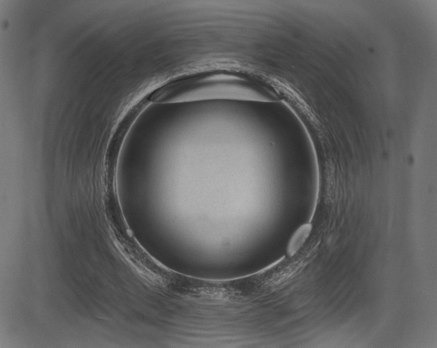 X0000083570439200702091057