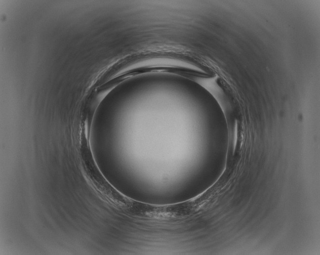 X0000083570448200702091057