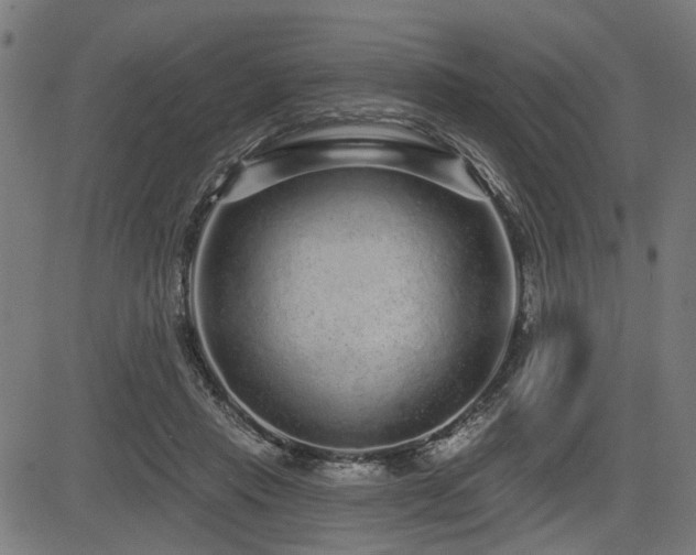 X0000083570453200702091058
