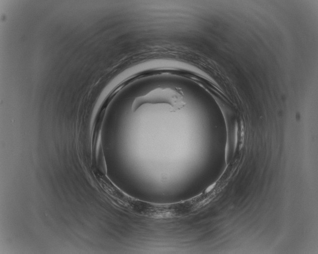 X0000083570456200702091058