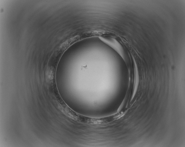 X0000083570472200702091058