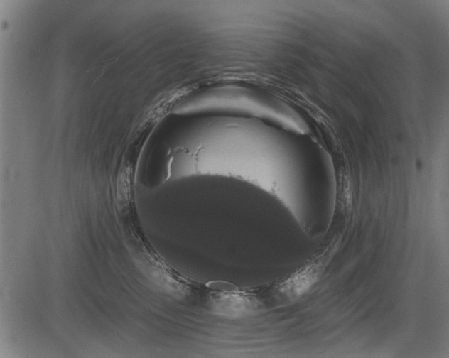 X0000083570475200702091058