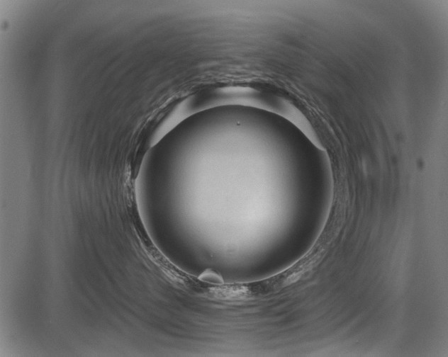 X0000083570480200702091058