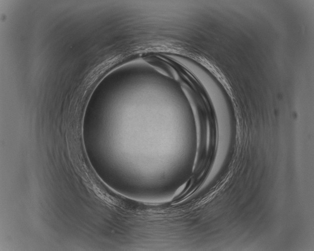 X0000083570481200702091057