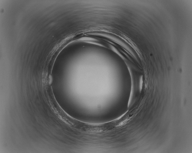 X0000083570485200702091057