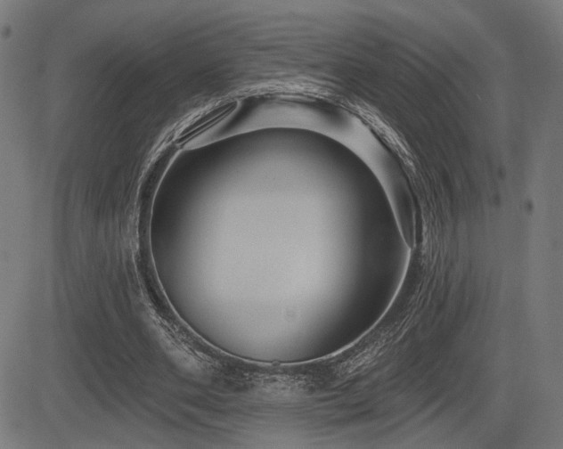 X0000083570486200702091057