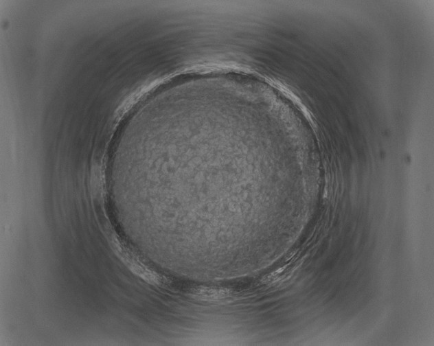 X0000083570487200702091057