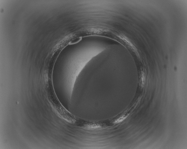 X0000083570500200702091057