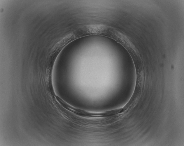 X0000083570505200702091057