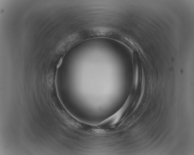X0000083570509200702091057