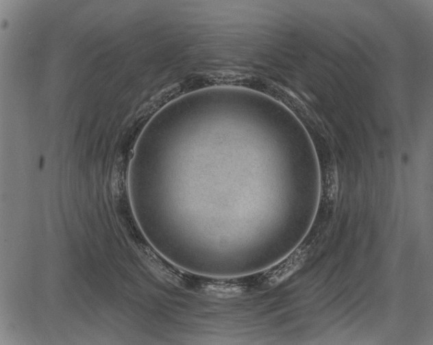 X0000083570515200702091057
