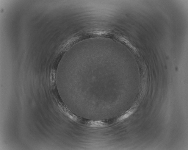 X0000083570528200702091056