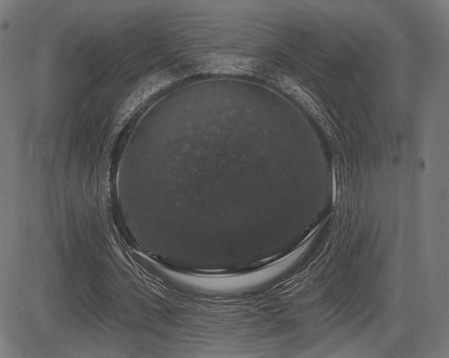 X0000083570531200702091056