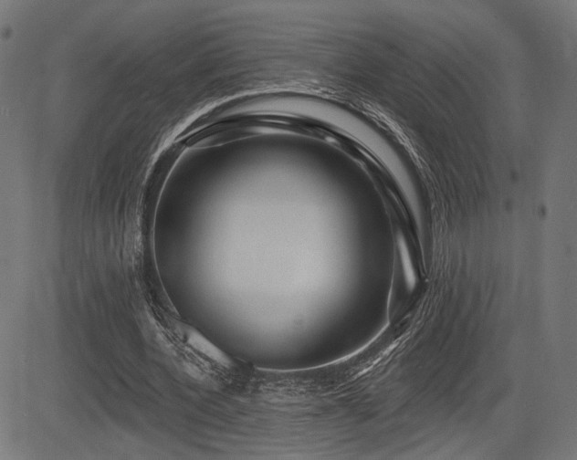 X0000083570532200702091056