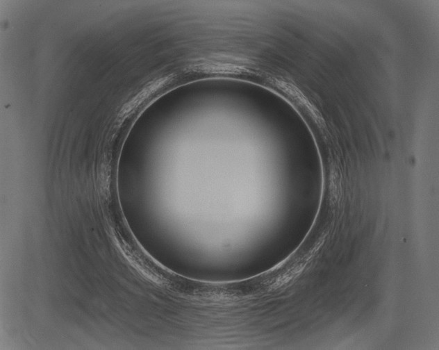 X0000083570533200702091056