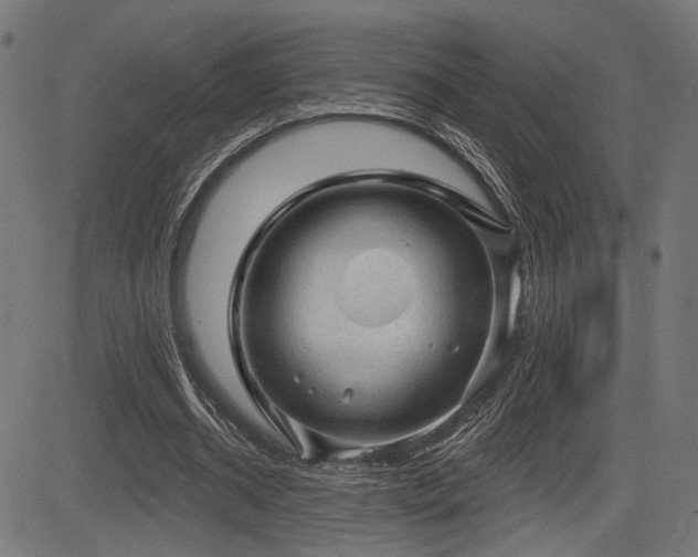 X0000083570534200702091056