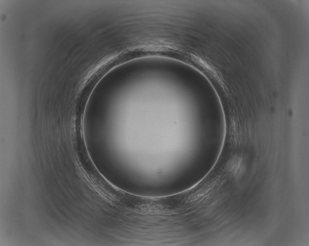 X0000083570535200702091056
