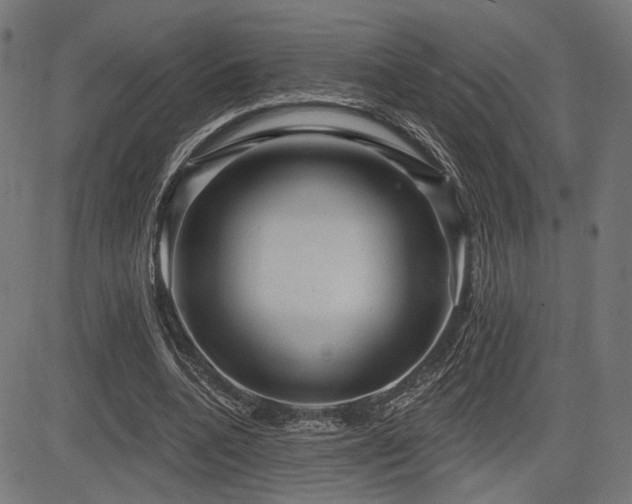 X0000083570536200702091056