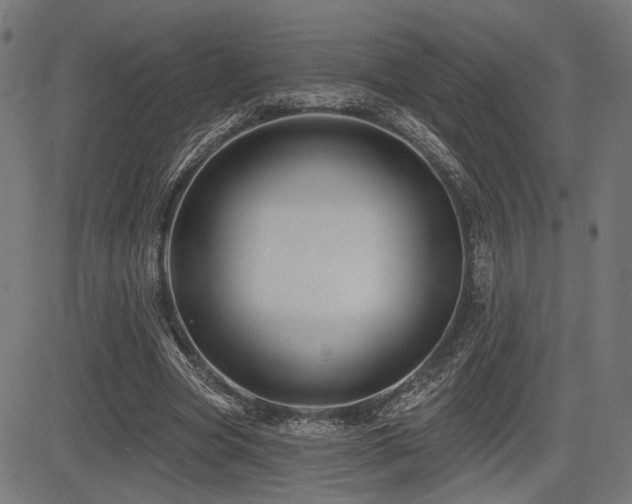 X0000083570537200702091056