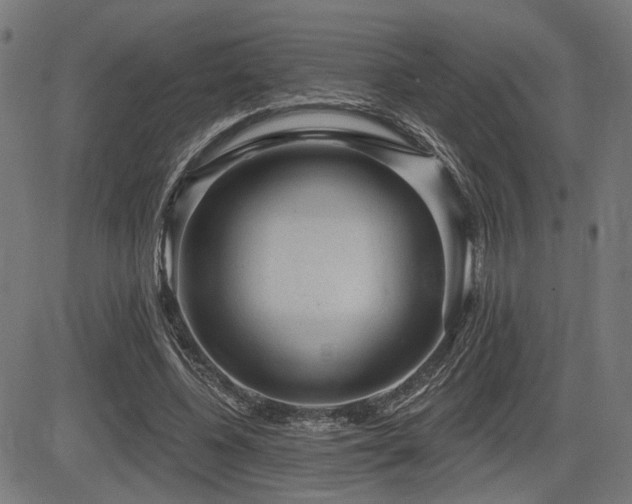 X0000083570540200702091056