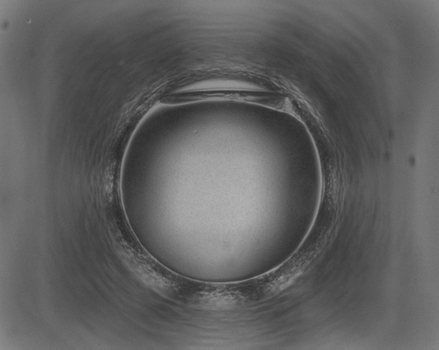 X0000083570545200702091056