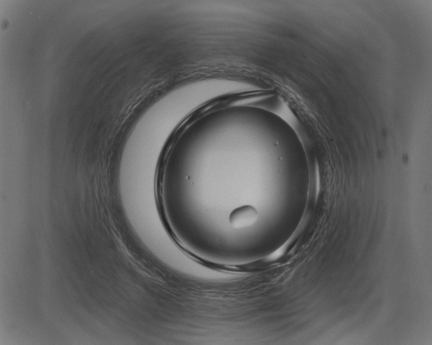 X0000083570546200702091056