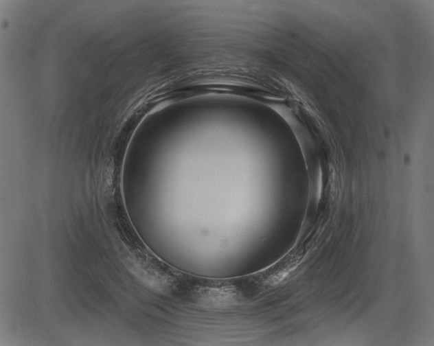 X0000083570548200702091056