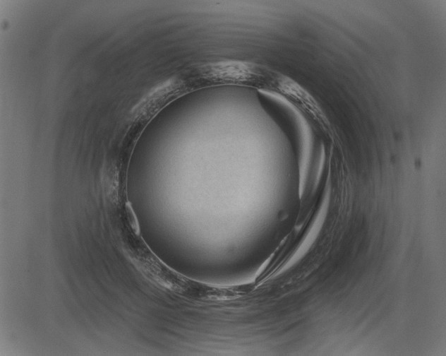 X0000083570552200702091056