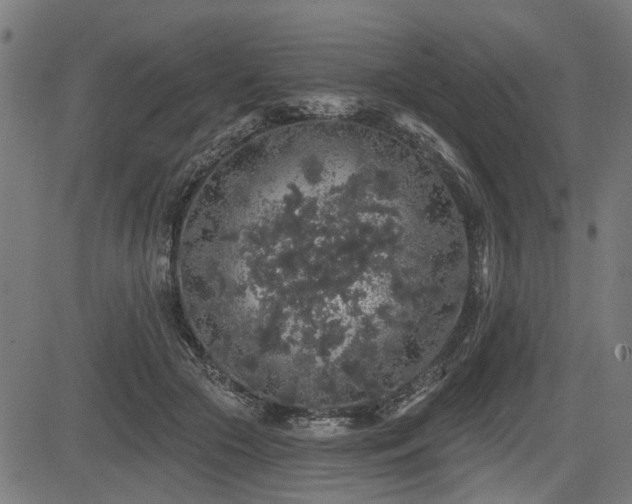X0000083570553200702091056