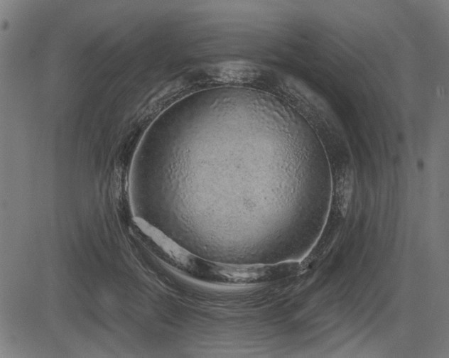 X0000083570554200702091056