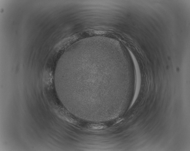 X0000083570555200702091056