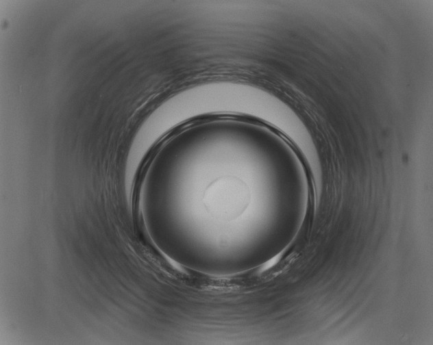 X0000083570556200702091056