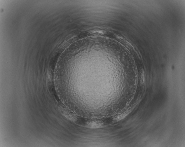 X0000083570561200702091056