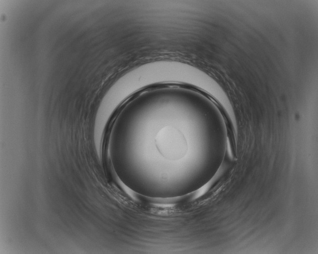 X0000083570564200702091056