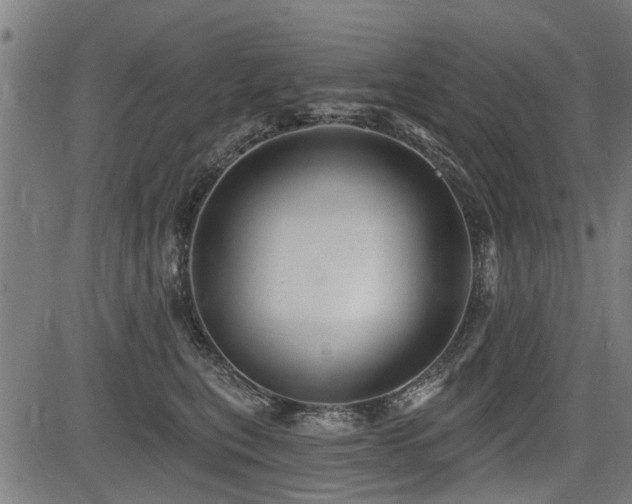 X0000083570567200702091056