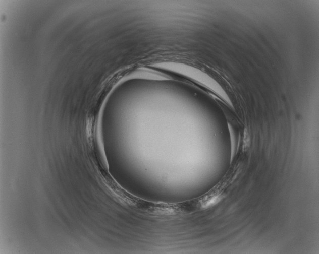 X0000083570572200702091056