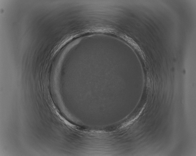 X0000083570577200702091056