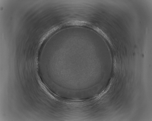 X0000083570581200702091056
