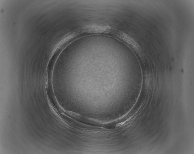 X0000083570582200702091056