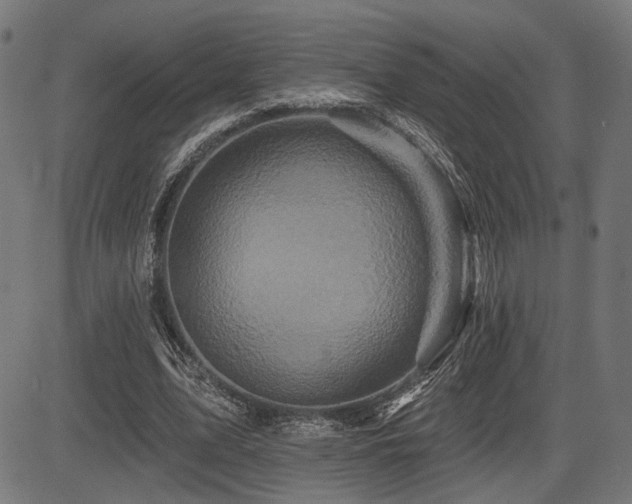 X0000083570583200702091056