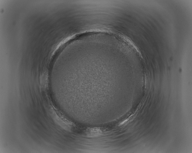 X0000083570588200702091055