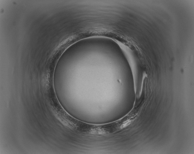 X0000083570591200702091055