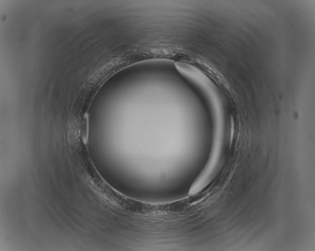 X0000083570593200702091055
