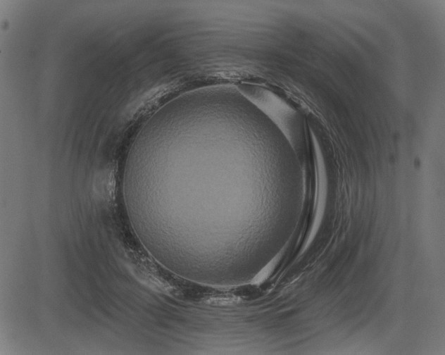 X0000083570595200702091055